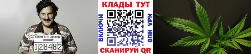 Купить наркотики сайты Кондрово ГАШИШ  OMG как зайти  Псилоцибиновые грибы  Мефедрон  КОКАИН  МАРИХУАНА 