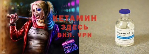 трава Белокуриха
