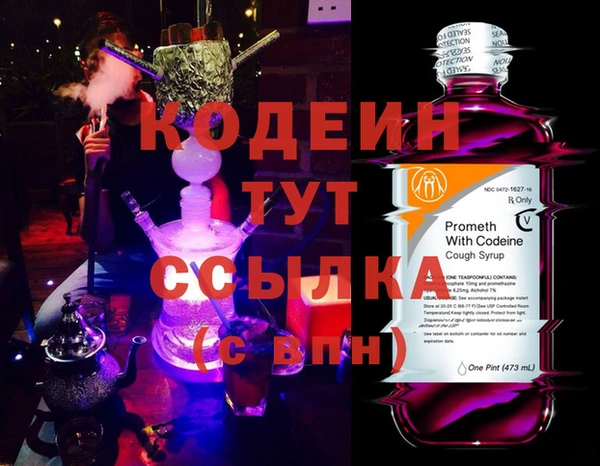 трава Белокуриха