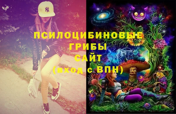 дмт Беломорск