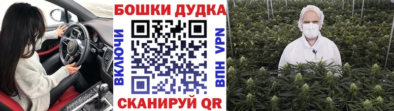 Конопля SATIVA & INDICA  гидра tor  Кондрово  цена наркотик 